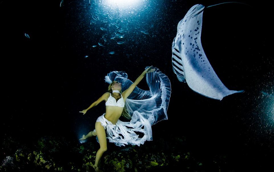 最后的舞蹈：動物組織拍唯美照片呼吁保護“魔鬼魚”