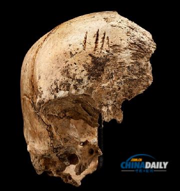 最新研究揭殘酷歷史 美洲首批英殖民者是食人族!