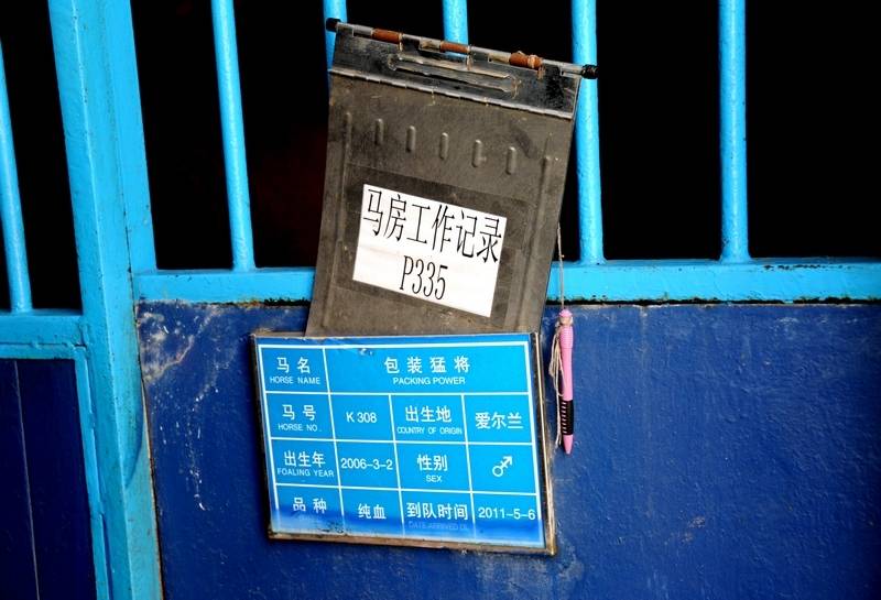 每匹馬養(yǎng)護(hù)成本2500元/月?探秘大連女騎警訓(xùn)練基地