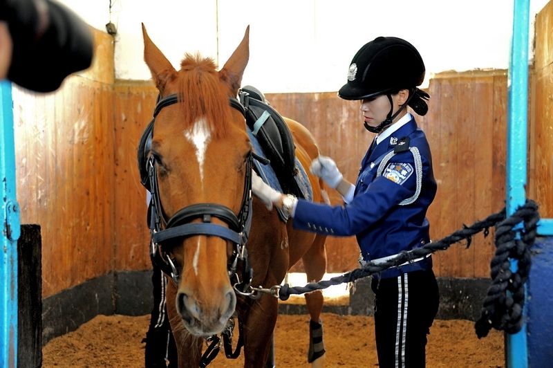 每匹馬養(yǎng)護(hù)成本2500元/月?探秘大連女騎警訓(xùn)練基地