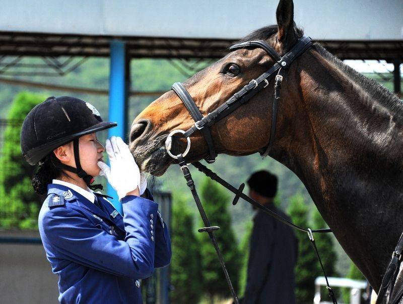 每匹馬養(yǎng)護成本2500元/月?探秘大連女騎警訓練基地