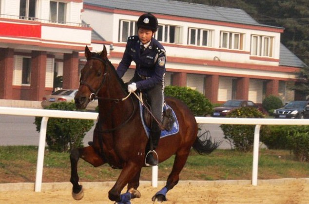 每匹馬養(yǎng)護成本2500元/月?探秘大連女騎警訓練基地