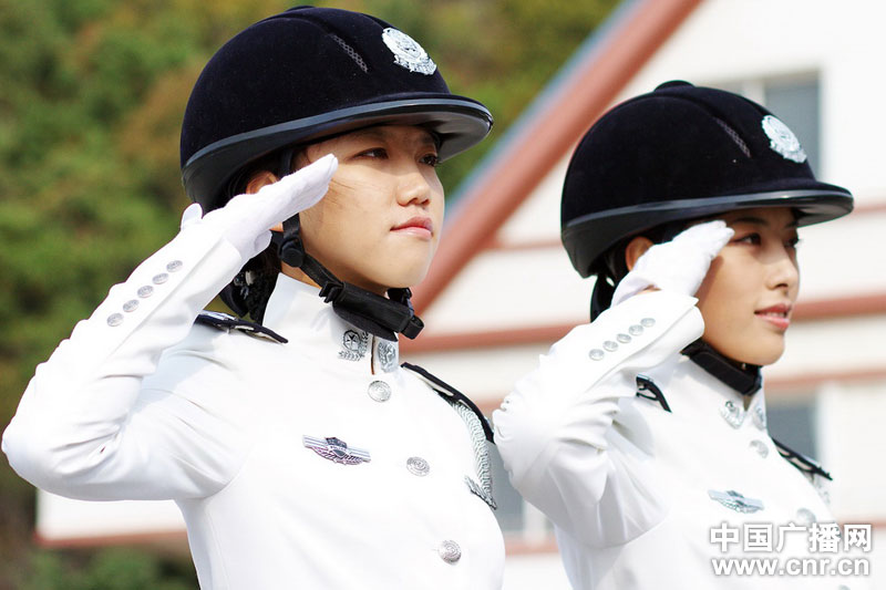 每匹馬養(yǎng)護成本2500元/月?探秘大連女騎警訓練基地