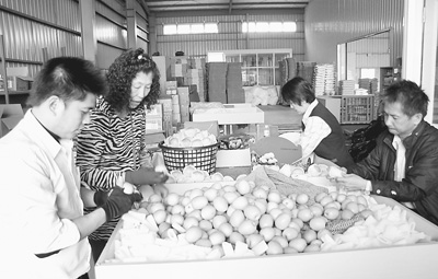 高雄農(nóng)漁業(yè)的“美麗轉(zhuǎn)身”(行走臺(tái)灣)