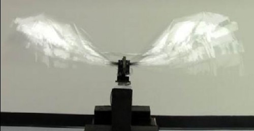 美科學家研發(fā)機器鳥 能以假亂真或將用于戰(zhàn)爭