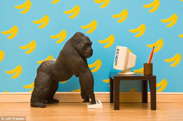 加拿大全職爸爸拍玩具動(dòng)物生活照 (高清組圖)