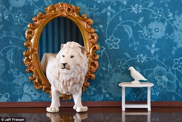 加拿大全職爸爸拍玩具動(dòng)物生活照 (高清組圖)