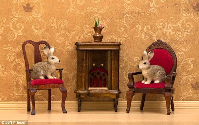 加拿大全職爸爸拍玩具動(dòng)物生活照 (高清組圖)