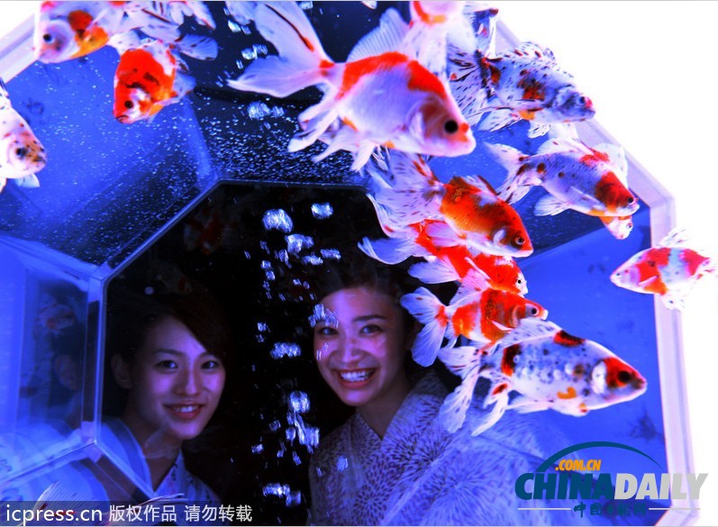 日本東京“藝術(shù)水族館”展覽開(kāi)幕 展品精美別致