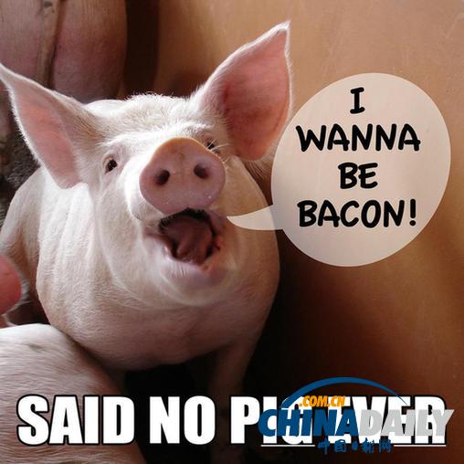 免稅、移民、吃素：解救底特律的六個瘋狂想法