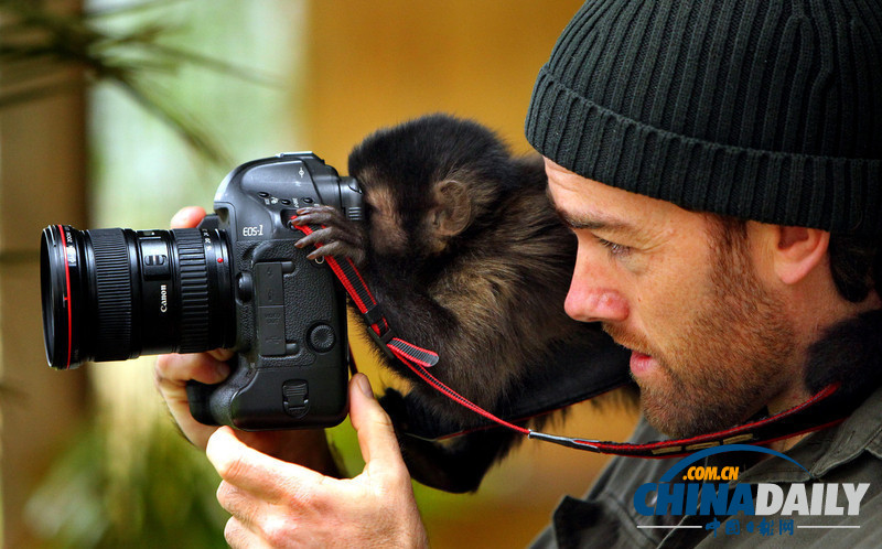 盤點(diǎn)動物界的“攝影大師”（高清組圖）