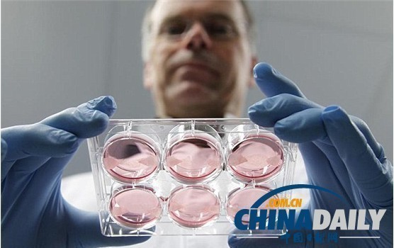 天價(jià)試管漢堡將在倫敦餐廳露面 造價(jià)25萬(wàn)英鎊