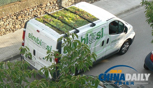 西班牙“車(chē)頂花園”風(fēng)景獨(dú)好 為城市帶來(lái)新鮮空氣（組圖）