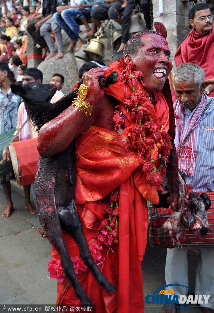 印度慶祝傳統(tǒng)節(jié)日 另類舞蹈上演“血色激情”