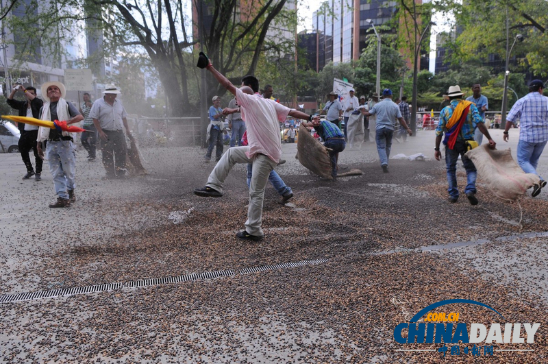 哥倫比亞全國(guó)大罷工要求下調(diào)汽油價(jià)格 引發(fā)警民沖突（組圖）