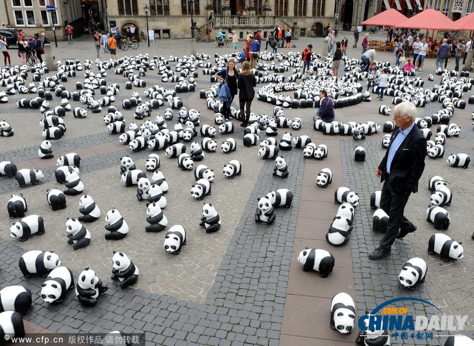 大熊貓“宣傳隊(duì)”轉(zhuǎn)戰(zhàn)德國(guó)不來(lái)梅 超萌可愛(ài)引圍觀（高清組圖）