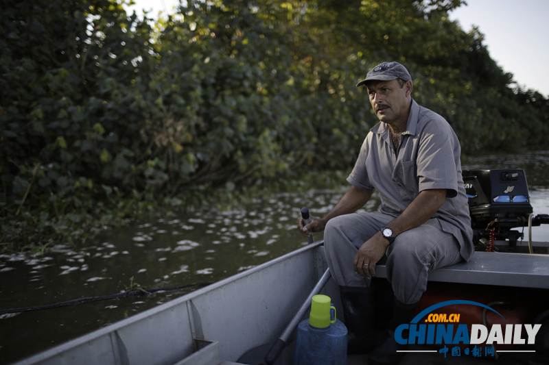 巴西奧林匹克公園附近發(fā)現(xiàn)10噸死魚 疑水污染所致（組圖）