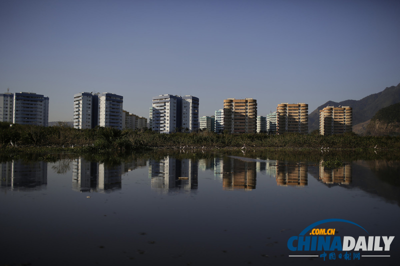 巴西奧林匹克公園附近發(fā)現(xiàn)10噸死魚(yú) 疑水污染所致（組圖）