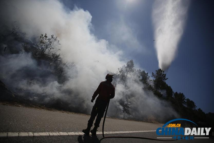葡萄牙森林火災肆虐 數(shù)百名消防員參與滅火 