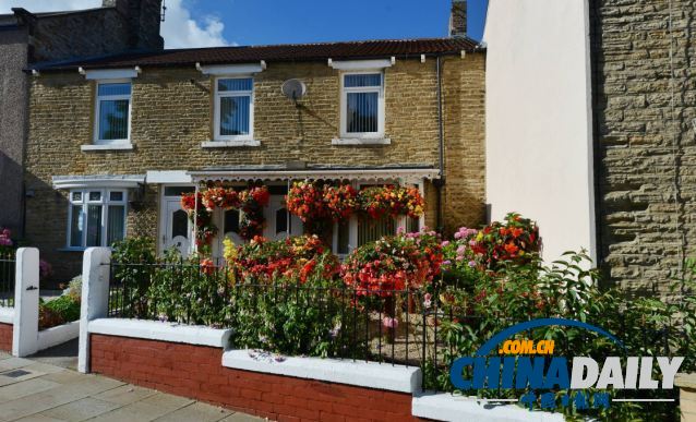 英國74歲盲人種植鮮艷花卉 靠觸覺和嗅覺做園藝