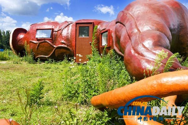 世界各地超另類的酒店!你想入住嗎?(組圖)