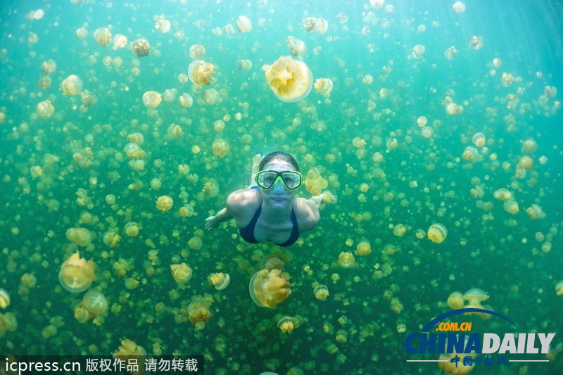 比基尼美女與水母同游 夢(mèng)幻場(chǎng)景亦幻亦真 <BR>