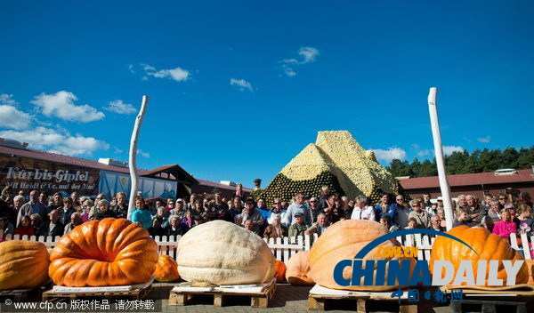 德國南瓜大賽舉行 巨型“瓜王”驚呆小伙伴