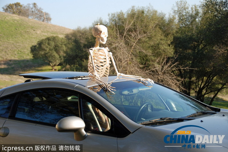 人體骨架一年內(nèi)周游世界 體驗(yàn)做人的感覺(jué)