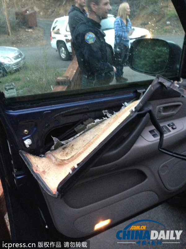 美國(guó)車主忘鎖車門 饑餓熊“乘虛而入”覓食反被鎖