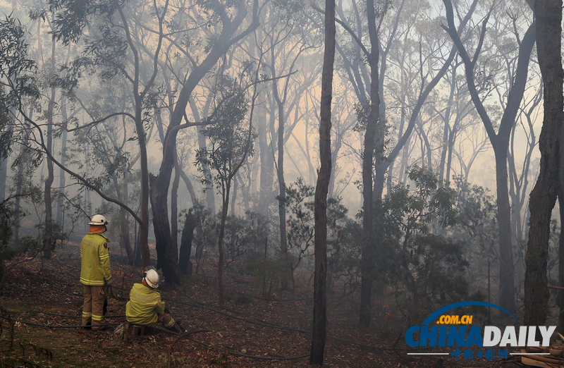 澳大利亞山火持續(xù)肆虐 滅火飛機(jī)墜毀飛行員生死未卜