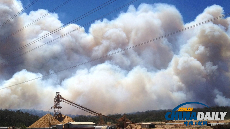 澳大利亞山火持續(xù)肆虐 滅火飛機墜毀飛行員生死未卜