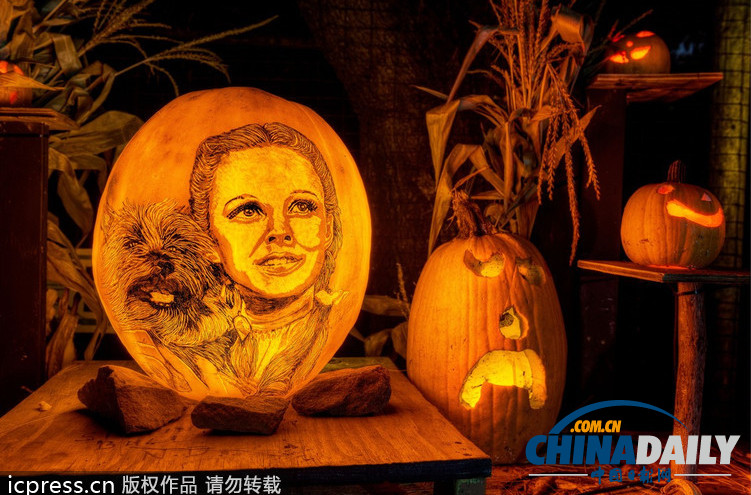 美國舉行創(chuàng)意南瓜燈展 數(shù)千作品讓人眼花繚亂