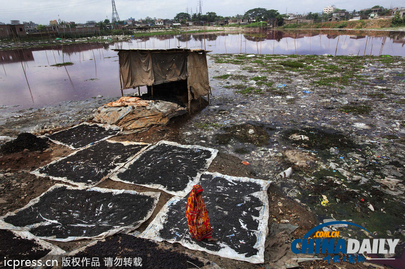 圖片故事：孟加拉國人在因造皮革受污染環(huán)境中生活