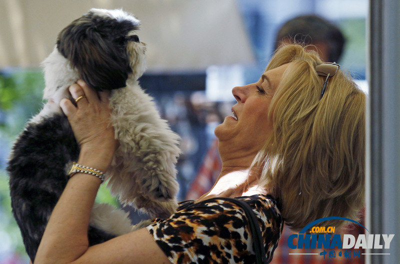 智利右翼政黨女總統(tǒng)候選人逗狗狗、抱女孩秀親民（高清組圖）