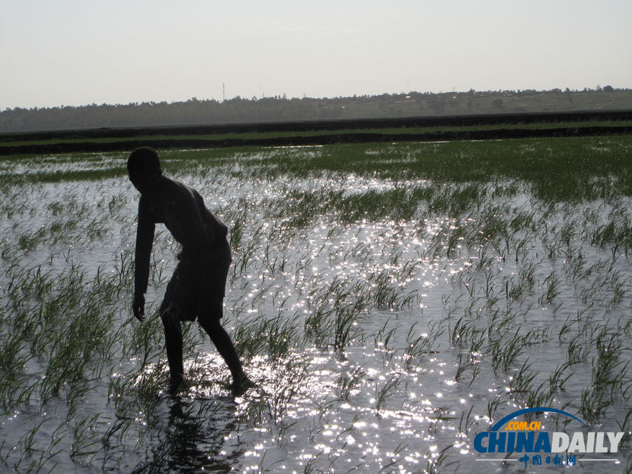中國日報網(wǎng)獨家：圖說莫桑比克 領(lǐng)略異域風(fēng)情