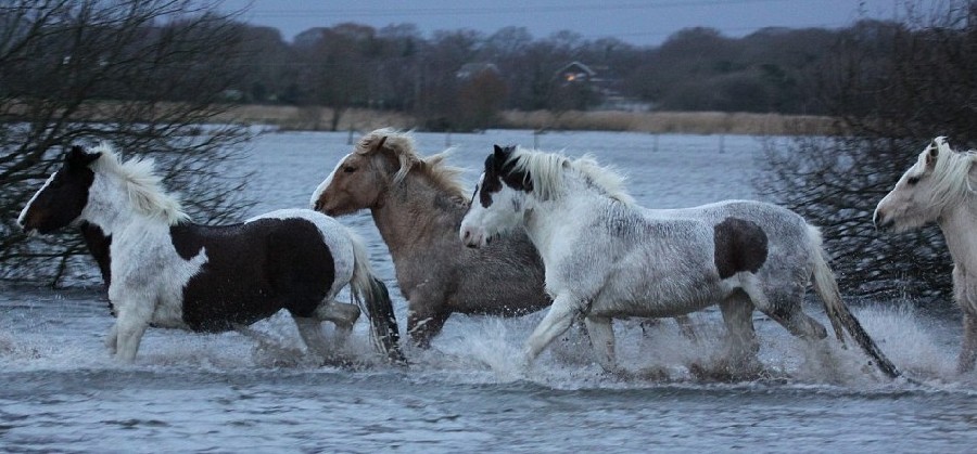 洪水驚濤席卷英國 “全國緊急狀態(tài)”下的壯觀景象
