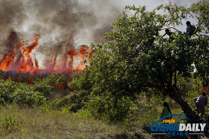 尼加拉瓜警察擊斃示威工人 民眾攜自制火器對(duì)抗