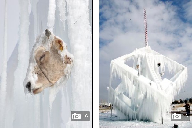 土耳其教授用牛頭制作恐怖冰雕 呼吁反對(duì)校園暴力
