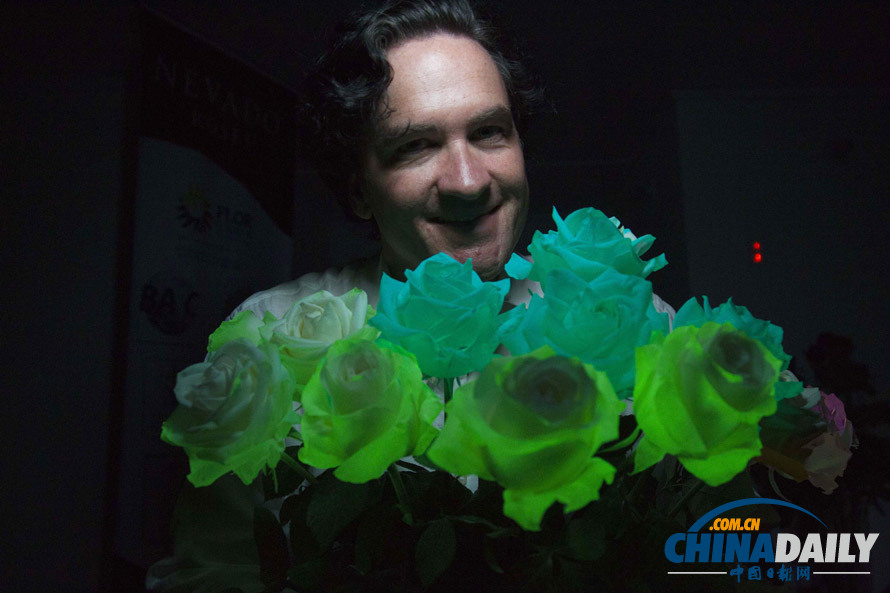 神秘的厄瓜多爾熒光玫瑰 如夢(mèng)似幻(圖)