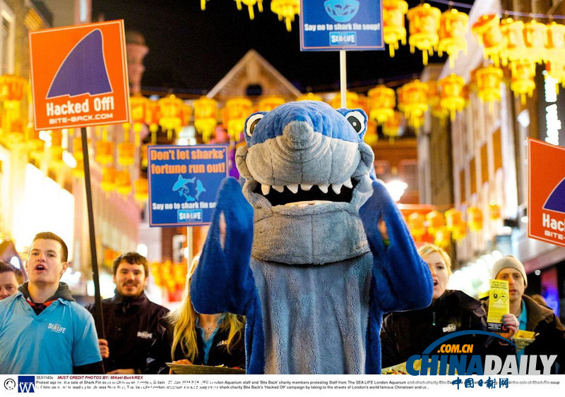 動物保護組織搭馬年順風車 唐人街示威抗議食用鯊魚翅