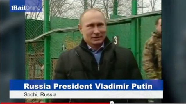 普京現(xiàn)身索契 與勇猛波斯豹幼崽玩耍