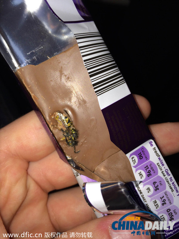 英國(guó)大學(xué)生巧克力中吃出完整大黃蜂尸體