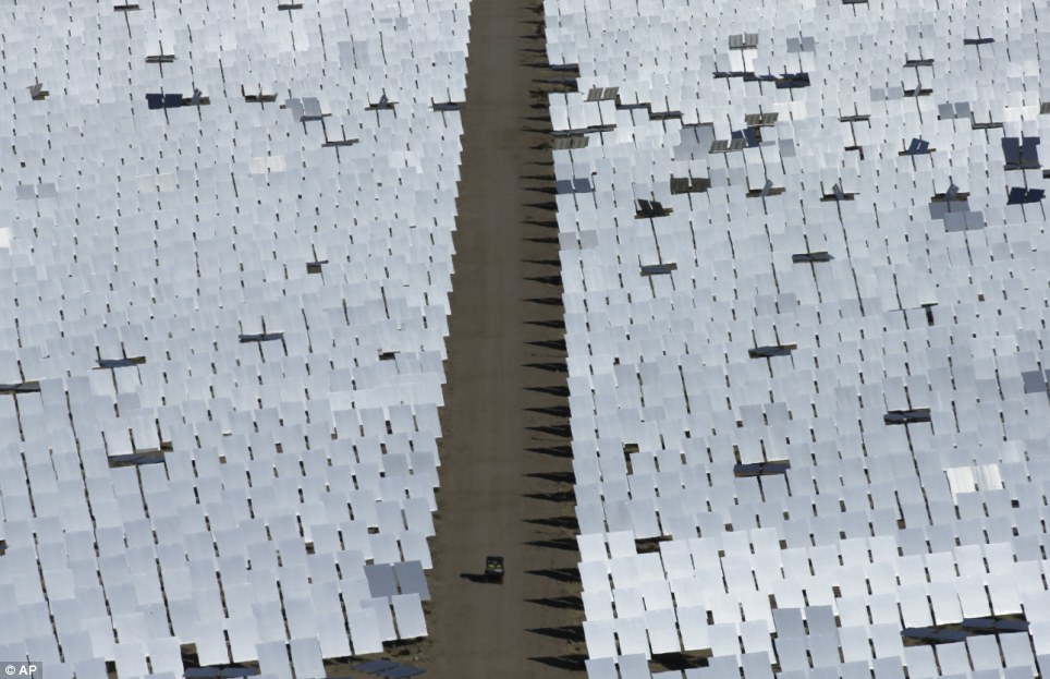 世界最大太陽(yáng)能發(fā)電廠挨批 飛鳥誤闖后羽毛被烤焦