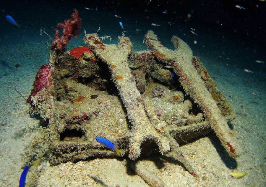 英女攝影師探秘最大水下二戰(zhàn)船舶墓地 日軍曾駐扎