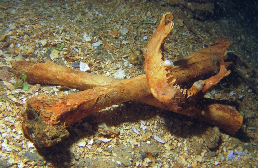 英女攝影師探秘最大水下二戰(zhàn)船舶墓地 日軍曾駐扎