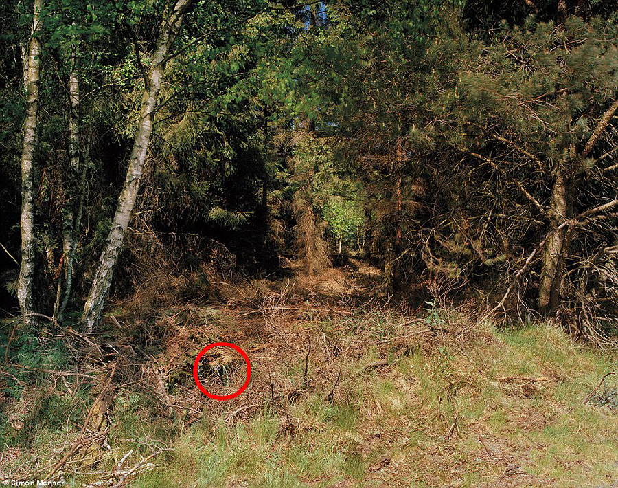 德國(guó)軍隊(duì)狙擊手藏身術(shù):與自然融為一體