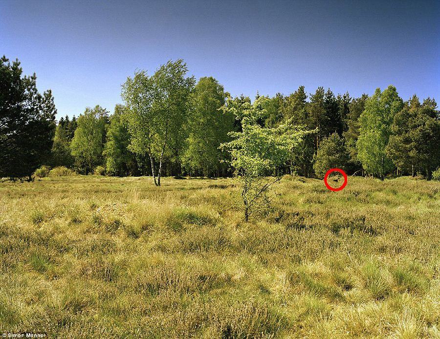 德國軍隊狙擊手藏身術(shù):與自然融為一體