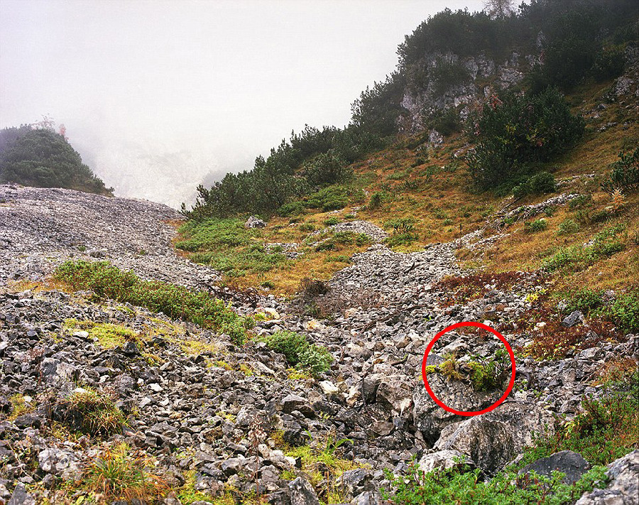 德國軍隊狙擊手藏身術(shù):與自然融為一體
