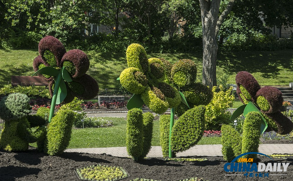 國際立體花壇大賽：和剪刀手愛德華“一決高下”