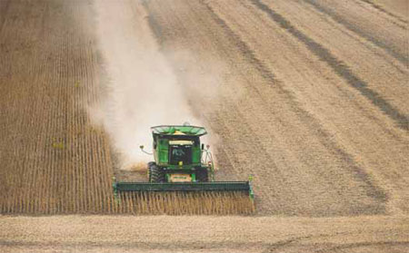 Jump in US corn imports forecast